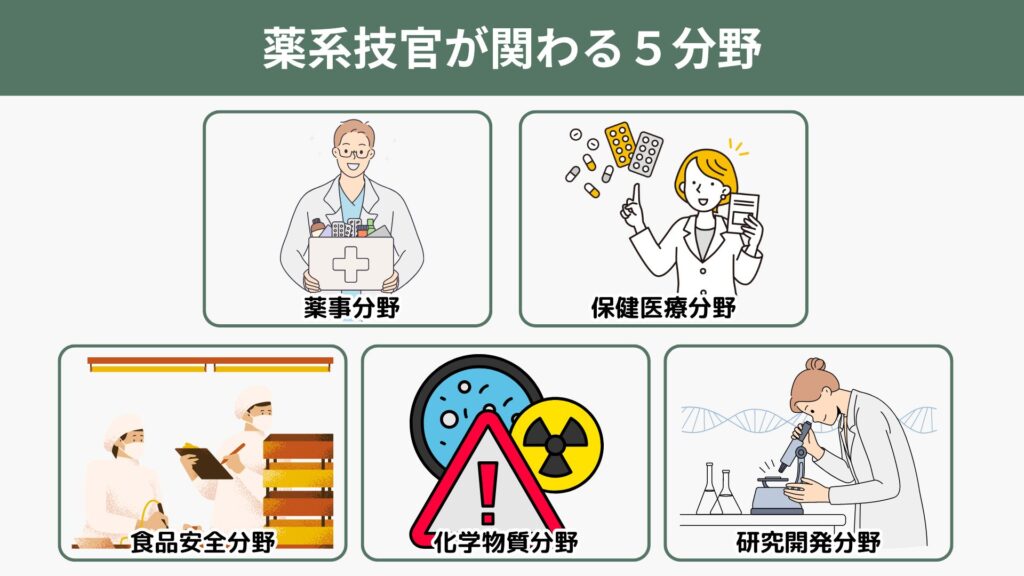 薬系技官の守備範囲